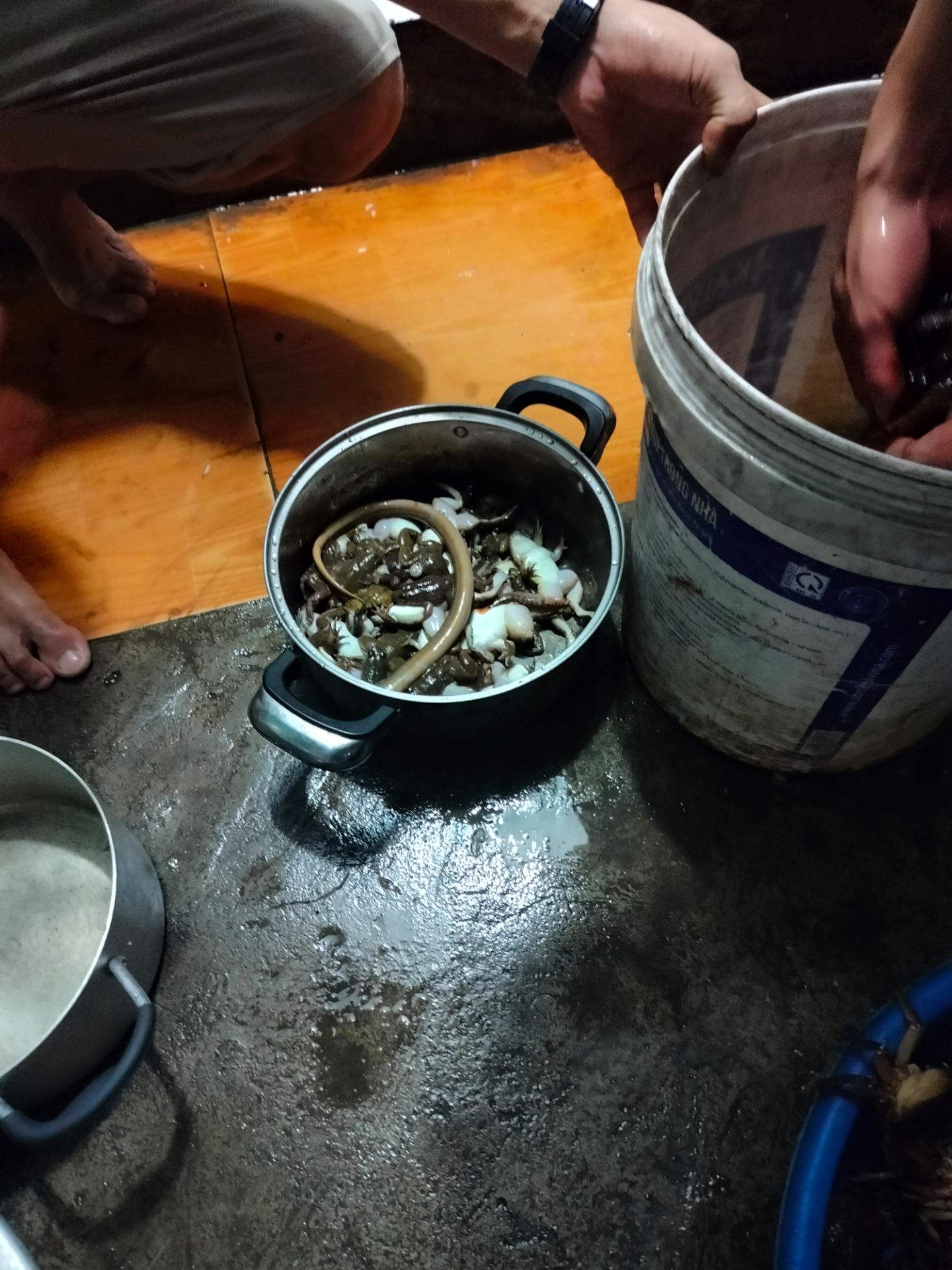 x 1 2 3 4 5 6 7 8 9 10 11 12 13 14 15 16 17 18 19 20