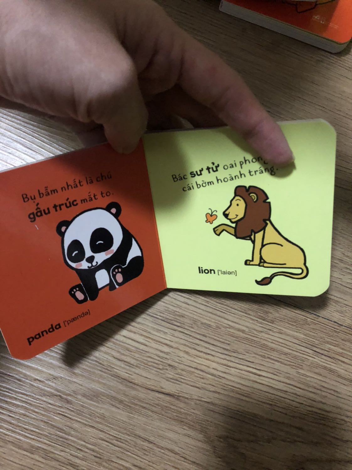 Cứ tưởng cuốn sách bự 
Nhưng mà chất lượng lắm
Màu sắc đẹp, cầm vừa tay, bé mình rất thích