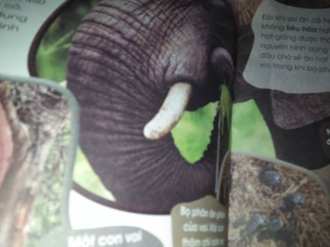 Sách mới, hình vẽ rõ ràng, phong phú, các em bé rất thích.