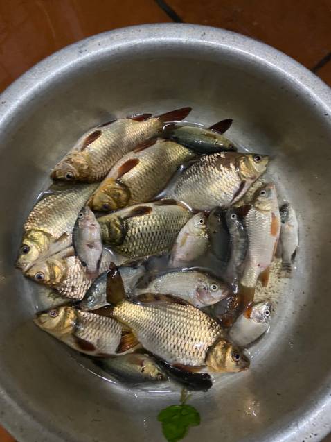 Hàng y như hình ln ạ đóng hôp cẩn thận ...........................