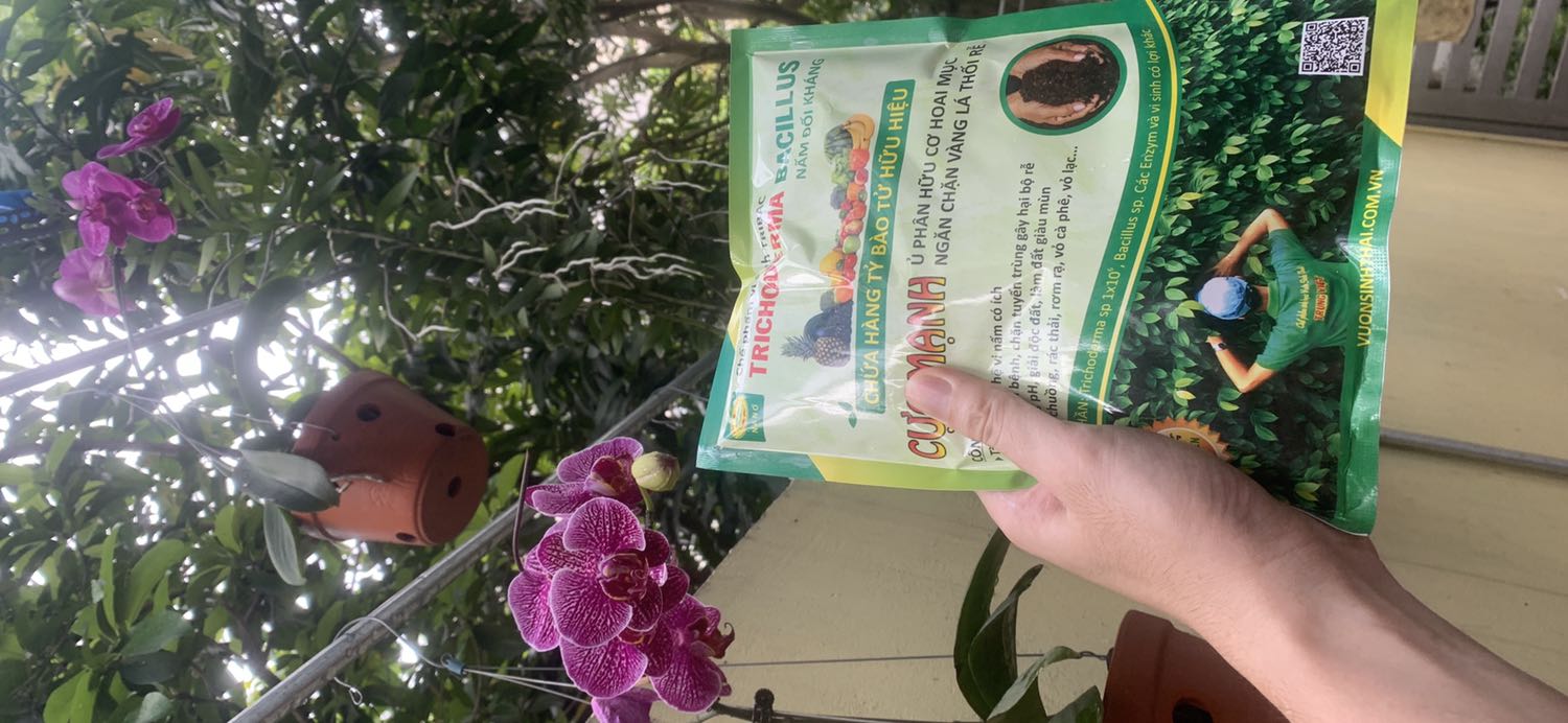 Nhận hàng rất nhanh bao bì mới rất đẹp
Đã sử dụng để ủ rác thải sinh hoạt. 
Hoa nở rất đẹp ít bệnh