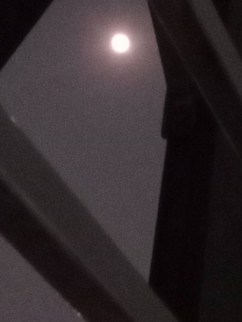 Sách chỉ bé bằng lòng bàn tay thôi , đút túi quần rất vừa nhaa