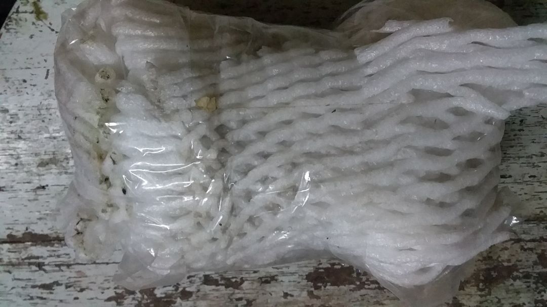 Tiki giao hàng thì đúng hẹn rồi. Hộp carton hơi bị méo và nhăn. Đèn xông gói bằng 1 lớp giấy báo và bọc xốp cũng ok, cơ mà giấy xốp gói bám bụi đen nhìn ko được vệ sinh lắm. Lỗi gói hàng mình có thể bỏ qua nhưng mi