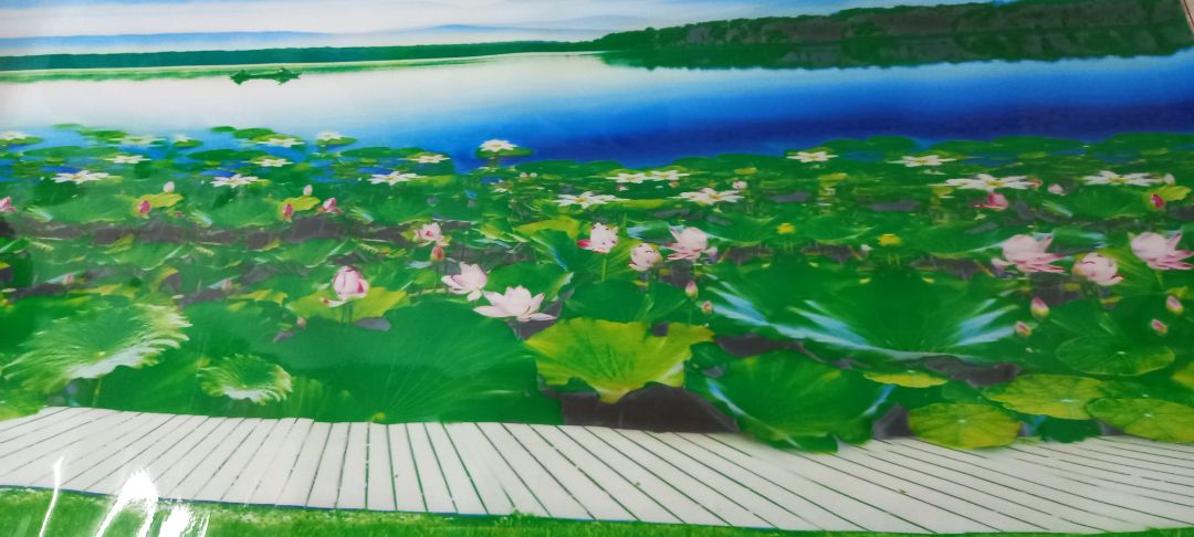 thất vọng giữa quảng cáo và thực tế