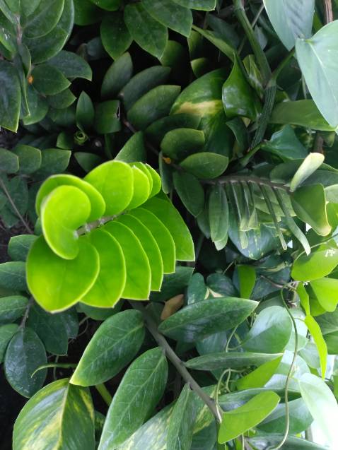 Sách hay, truyền cảm hứng, đóng gói kỹ tuy giấy đã cũ, hơi ố vàng. Nên đọc.