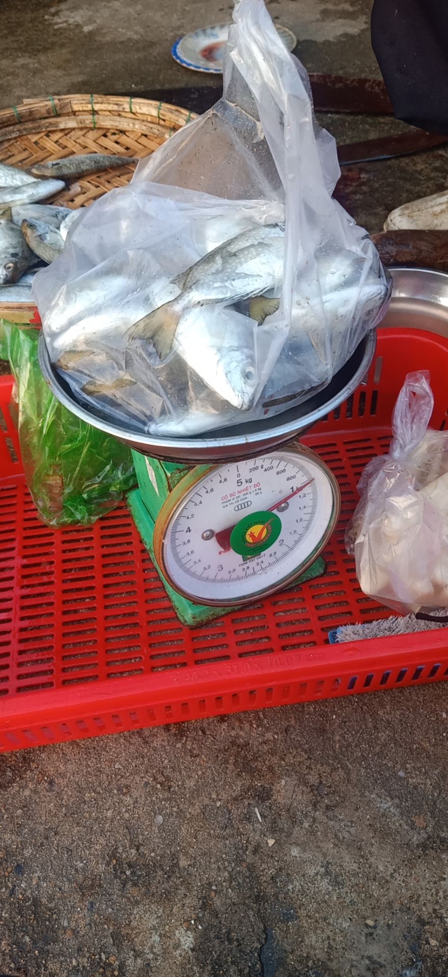 Con mẹ bút nịt chưa mài để dây nịt vô làm 4 vệt chạy dài mất y một buổi tối mùa giấy nhám chà mấy cạnh sắc của bút nịt. Chờ 1 sao. Chà sửa bất điên người