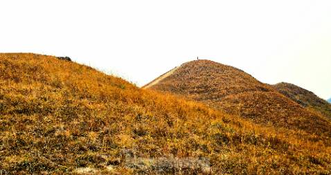 Hỏi Ai Tình yêu là gi
Làm sao định nghĩa được tình yêu?
Có khó gì đâu một buổi chiều,
Người đến bên tôi người thủ thỉ
"Mình quen nhau nhé!" - thế là yêu