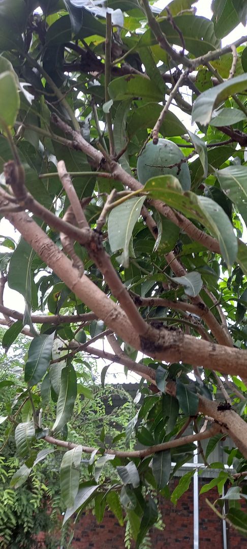 mua khăn kích thước 25×25 mà giao khăn nhỏ xíu chỉ 12×24 rất thất vọng, shop làm ăn k có tâm nếu khăn nhỏ thì nói nhỏ để người mua cân nhắc trước khi mua để khi mua về nhỏ xíu k làm được gì, liên hệ với shop thì bảo giao hàng đúng mẫu, k có bn tiền mà làm ăn vậy mua 1 lần rồi chạy mất dép