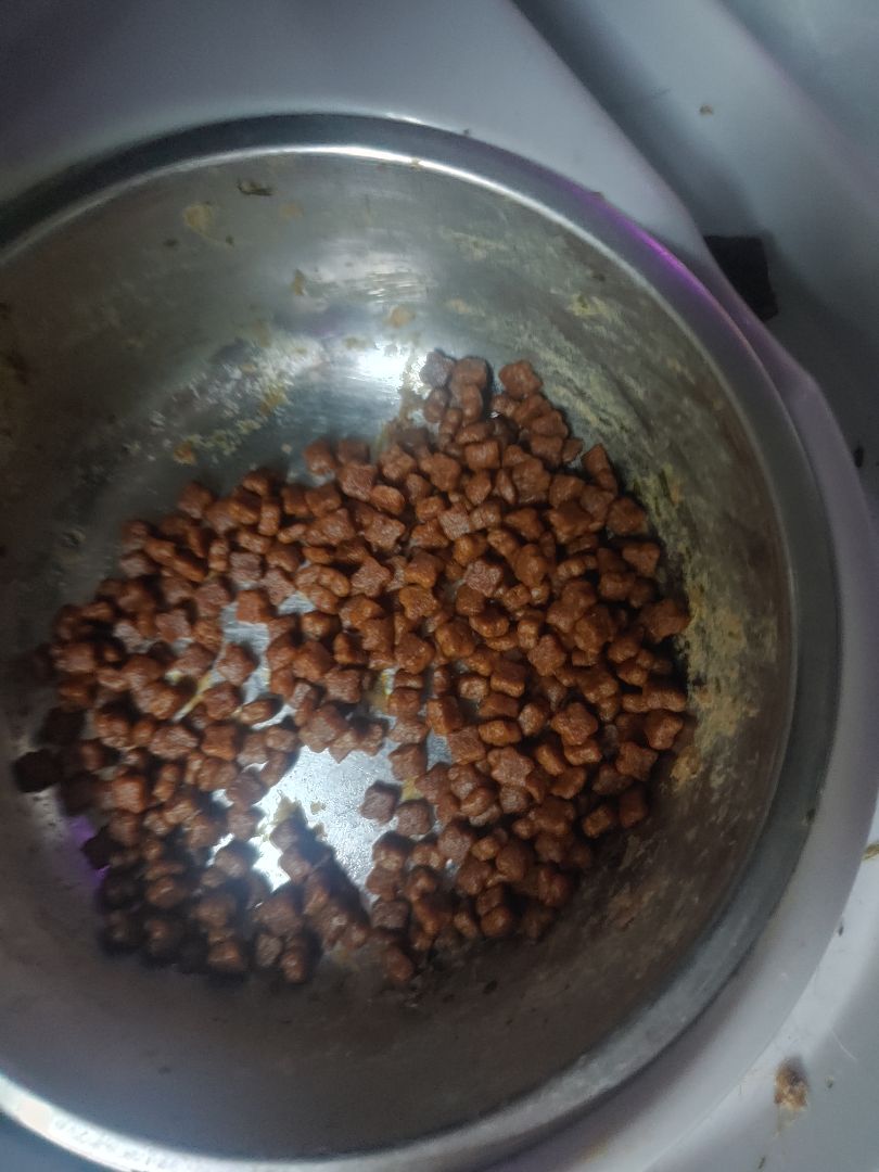 hạt nhỏ, mèo con và mẹ đều ăn được