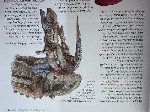 Sách rất tuyệt. Có cả bìa bánh mì nên giữ sách mới được khá lâu. Sách rất nhiều chữ, có hình ảnh nhưng chữ hơi nhiều, nên cân nhắc khi mua cho bé nhỏ tuổi, khoảng tầm  11, 12 tuổi thì mới nên mua. Sách có vài hình khá nhạy cảm như máu, thịt nên bé tâm lí yếu thì đừng mua. Đọc rất hay, nhiều thông tin và nhiều loài khủng long nhưng còn vài lỗi sai do sách xuất bản năm 2000s, thấy tái bản nhiều lần nhưng chưa sửa lỗi. Nói chung là đọc hay, nhiều loài khủng long và nên mua cho bé thích khủng long nhưng có vài lỗi sai và vài hình ảnh hơi nhạy cảm, hơi nhiều chữ, nên mua cho bé từ 10-13 tuổi là hợp lí.