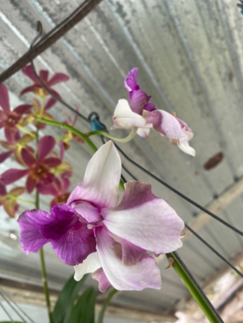 Sp như hình ạ, rất tiện dụng