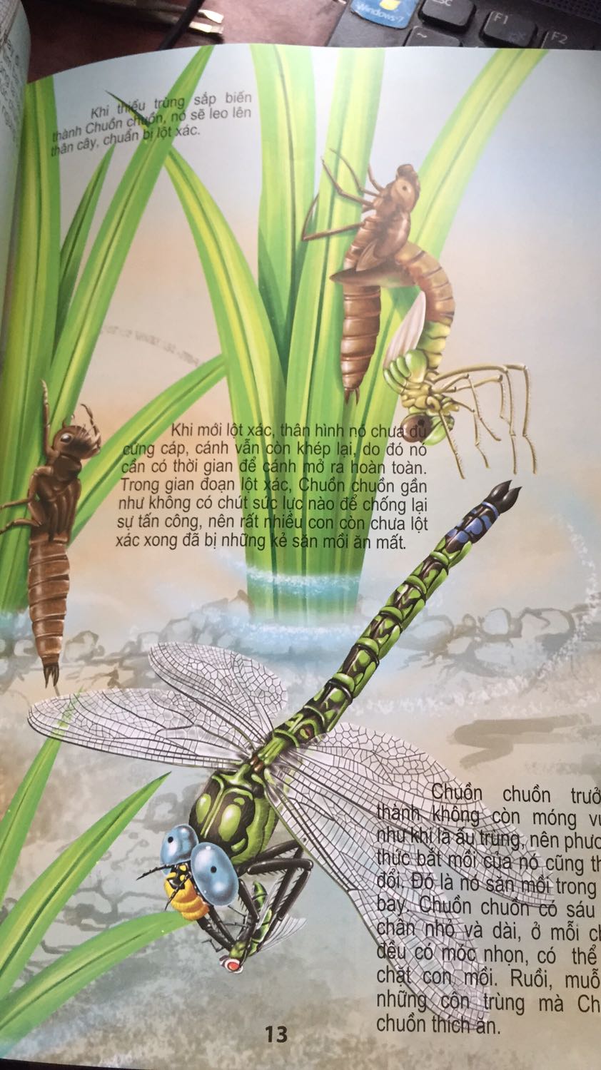 Cuốn sách mỏng nhẹ nhưng thông tin chi tiết v nhất là hình vẽ đẹp vô cùng luôn❤️