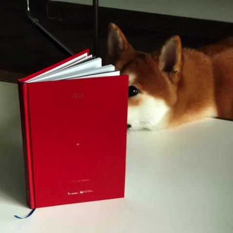 * Sản phẩm rất xinh đẹp tuyệt vời, tôi không thể trông đợi gì hơn. Cảm ơn nhà cung cấp, nhà sản xuất, cảm ơn người bán hàng, cảm ơn sàn thương mại điện tử, cảm ơn người vận chuyển để tôi có cơ hội dùng sản phẩm tốt như thế này.

* Hàng đóng gói rất đẹp. Quả nhiên người bán đã gửi gắm rất nhiều tâm tư và tình cảm trong lúc gói hàng. Hộp không có dấu hiệu bị móp, chứng tỏ bộ phận vận chuyển đã nâng như nâng trứng, hứng như hứng hoa. Xin nghiêng mình cảm ơn vì tất cả.

* Thời gian vận chuyển rất hợp lí. Tôi đã đặt hàng với tâm thế hào hứng chờ đợi để được trải nghiệm sản phẩm và tôi không hề bị chờ mỏi cổ. Có thể thấy bên vận chuyển không quản ngại thời tiết và đường xá xa xôi để đưa sản phẩm cho tôi trong thời gian ngắn nhất.