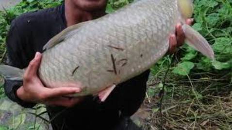 Sản phẩm rất tuyệt vời rất là đẹp rất uy tín