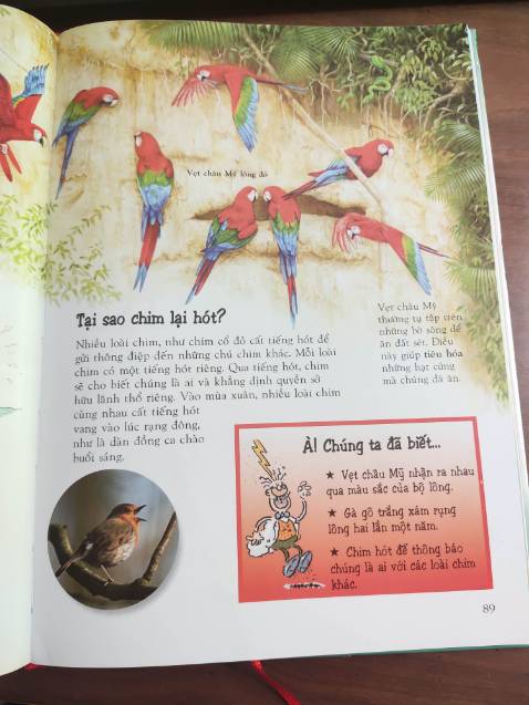 Tuyệt vời, nội dung hữu ích, trình bày đẹp.