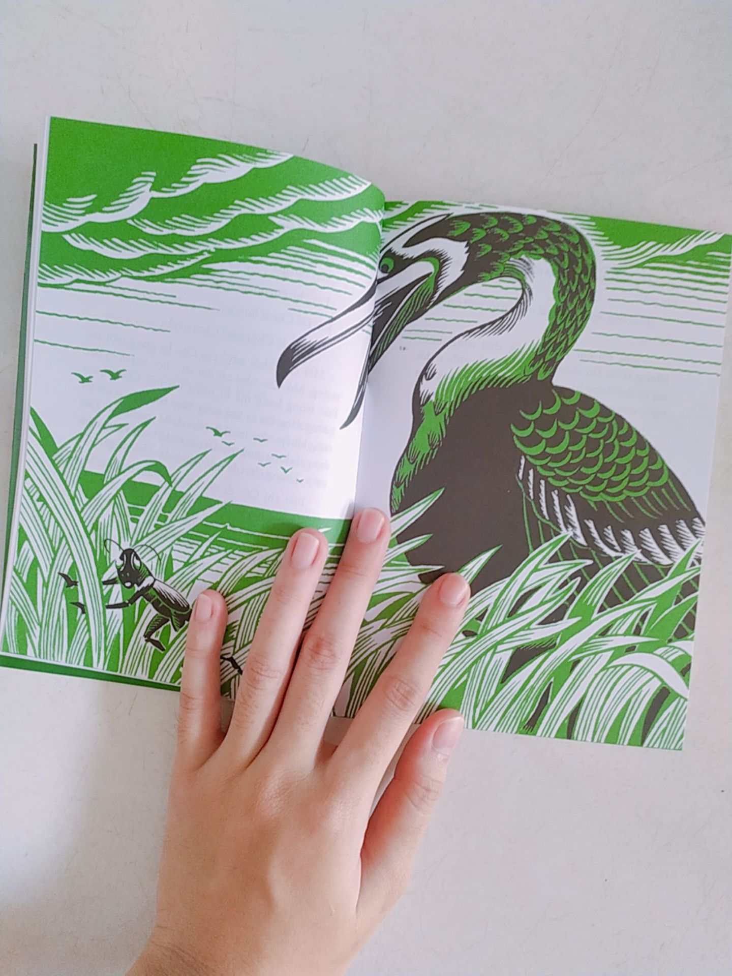 Tiki đóng gói sạch sẽ, giao mất tầm 10 ngày do dịch :( về sách thì nội dung quá quen thuộc rồi, mình mua cho đứa em đọc, sách hình ảnh dễ thương, tuy nhiên chất giấy trắng tinh ko thích lắm, nếu có thể làm ruột giấy vàng chống loá mắt thì ok hơn