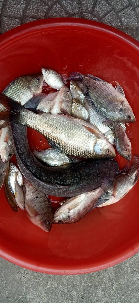 Hàng chất lượng, đóng gói đẹp