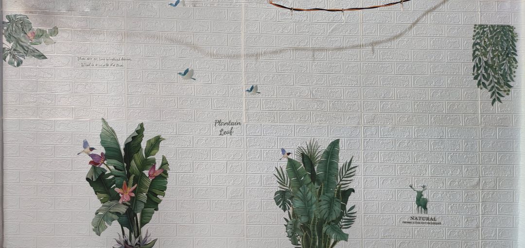 giao nhanh, giống mô tả