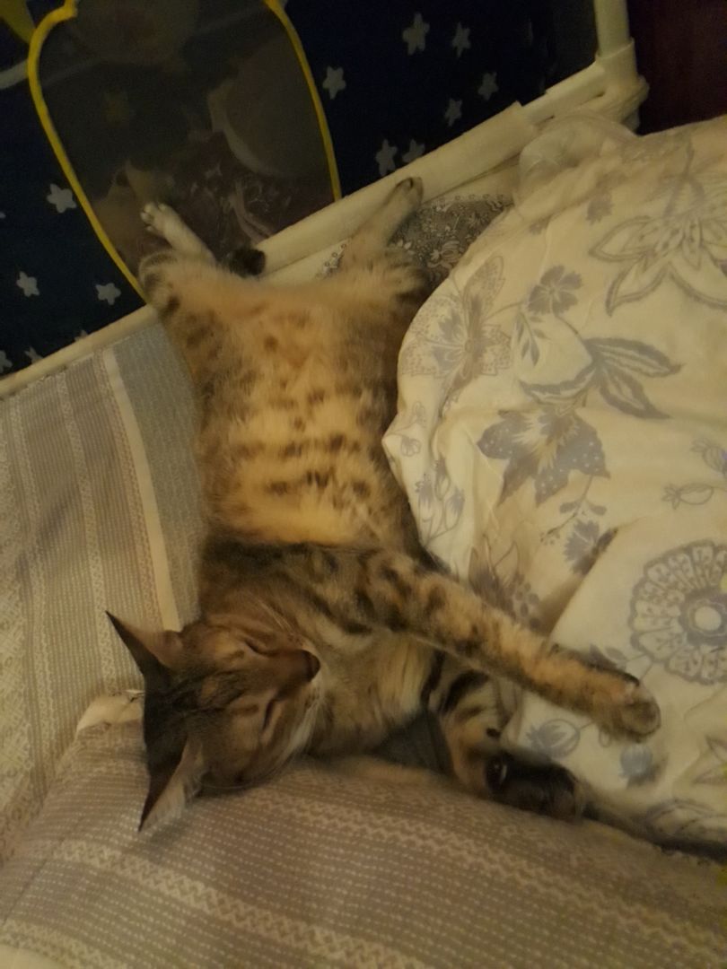 Hsd tới cuối năm sau, trc mua giá bình thuờng là 350k, giờ mua khuyến mãi giảm 50k mới đc như giá cũ.