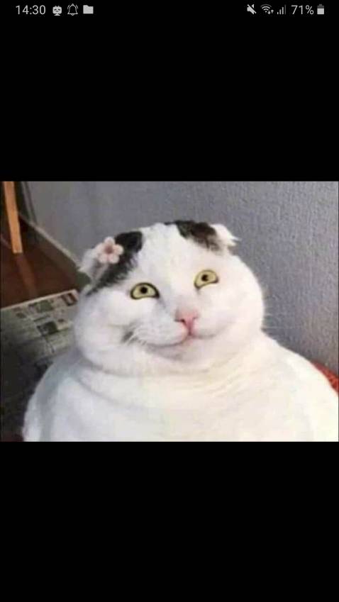 Mình thấy bỏ tiền ra mua 1 quyển sách trăm mấy mà ko có nổi 1 cái bao ni long lại cho khỏi xước dập hư sách thì mình nghĩ admin cần xem lại mình khi nhận được hàng xước hầu như muốn trắng quyển sách luôn khó chịu thật sự ( còn nội dung thì