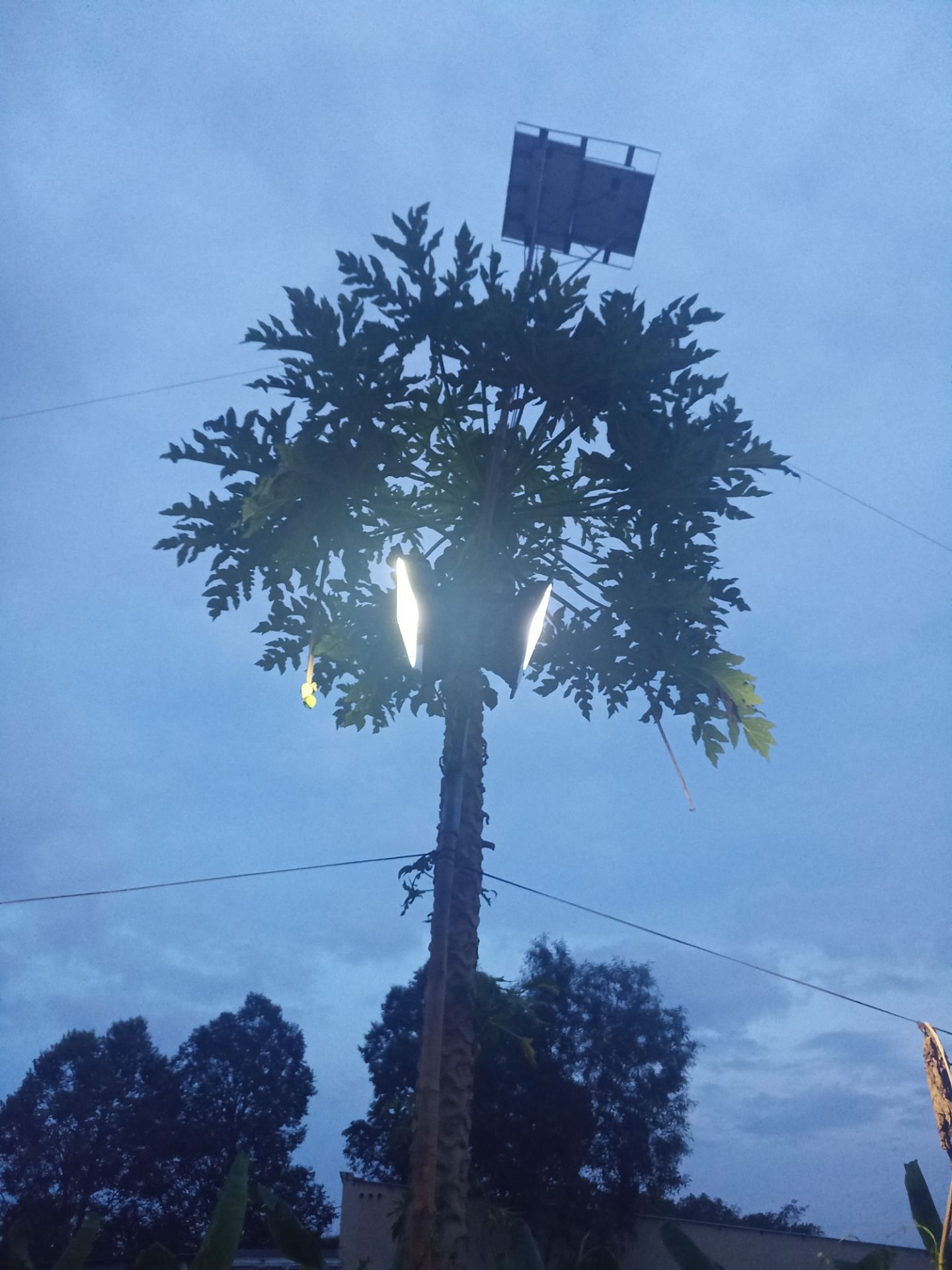 Giao hàng chuẩn như quản cáo. Tuy nhiên dịch bệnh nên hơi trễ so với dự kiến.