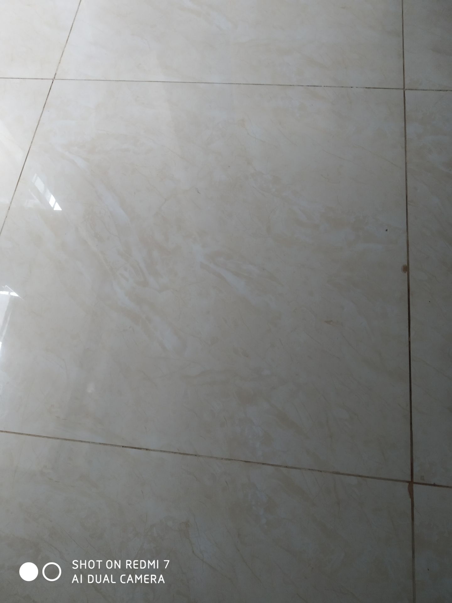 hình ảnh chỉ mang tính chất nhận xu.hàng tốt nhưng người Giao hàng có thái độ không tốt.Nếu các shop không cải thiện người Giao hàng lịch sự hơn thì sẽ bị bùn hàng dài dài!