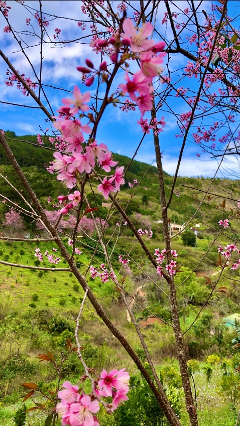 Sản phẩm đẹp nhiìn sạch sẽ , rất vừa ý khi nào dùng hết sẽ mua lại 👍
