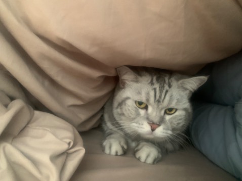 Đi cùng 4 quyển khác, đóng gói rất sơ sài nhưng may mà nó mỏng nên ko bị sao