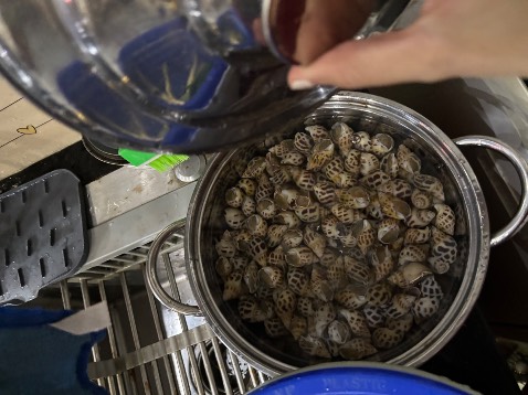 Bỉm thấm hút tốt, của nhà bán Tiki thì quá yên tâm rồi ạ. Bé nhà mình xưa nay luôn tin dùng bên huggies thôi. Loại này có tràm trà khử mùi và ngừa hăm khá ổn.