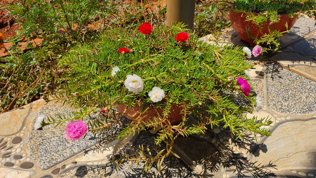 pin khá tốt. nhận hàng cảm thấy rất nặng.giao hàng khá nhanh. cảm thấy tốt trong tầm giá pin khá tốt. nhận hàng cảm thấy rất nặng.giao hàng khá nhanh. cảm thấy tốt trong tầm giá