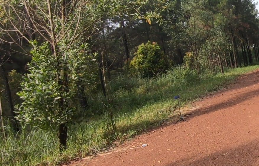 mọi người chú ý cái remote, lấy cột dây đeo liền nhe, tui bỏ trong túi áo lúc giặt đồ quên giờ vô nước hư luôn phải chụp bằng hẹn giờ