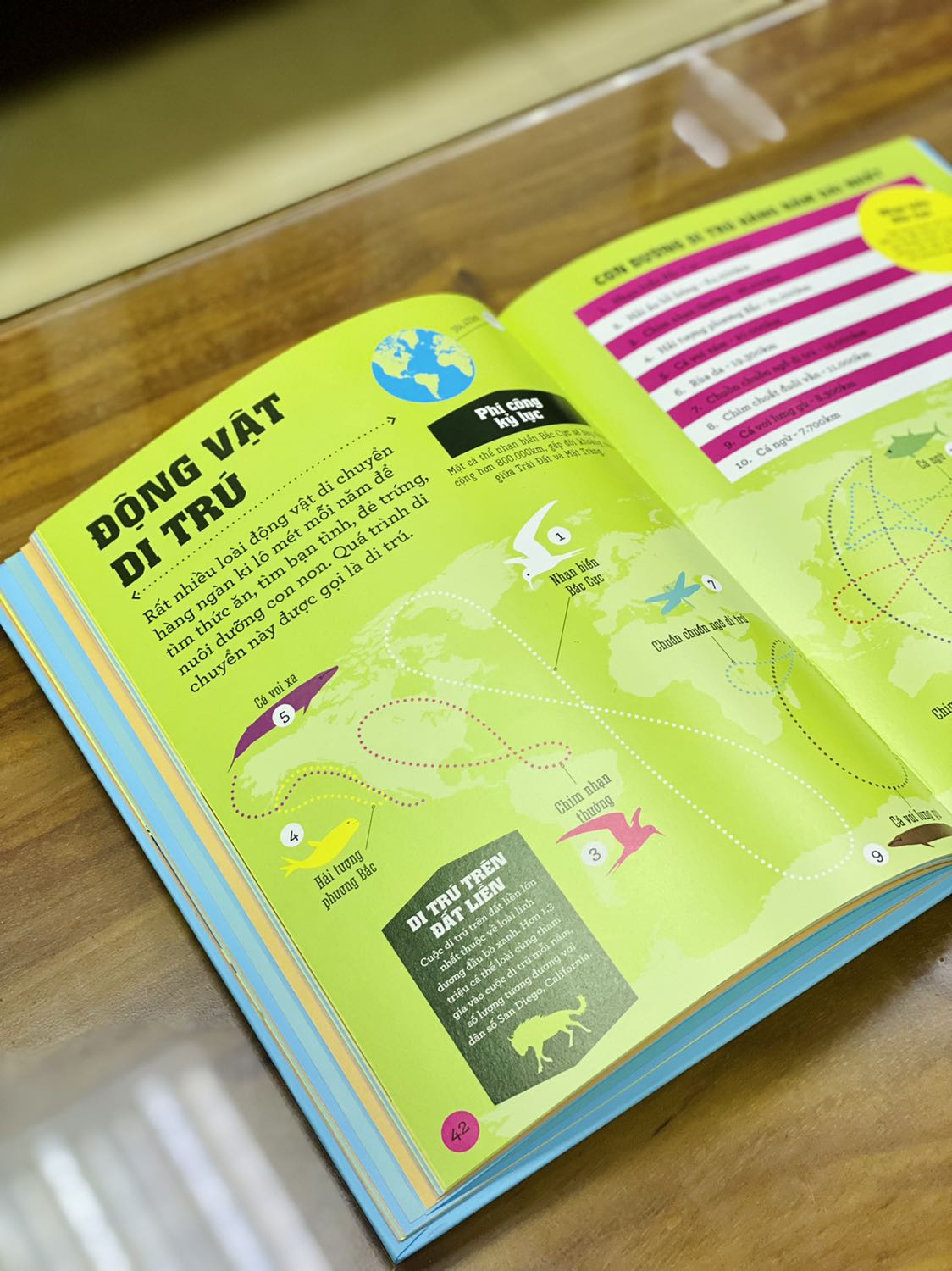 + Tiki giao hàng nhanh chóng, đặt 1-2 ngày đã nhận được hàng. 
+ Đơn 2 quyển mình mua đều có bìa cứng, khổ to, in màu toàn bộ; chất lượng giấy tốt, dày dặn. Ảnh minh họa đẹp, màu sắc hài hoà, sinh động. Giá 2 quyển đều giảm khá nhiều. 
- Điểm trừ duy nhất là đóng gói vẫn còn lỏng lẻo, sách không được bọc màng co nên bên ngoài bám bụi và bị dơ vài chỗ.