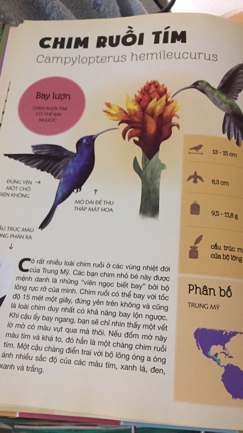 Cuốn về lông vũ này có cấu trúc tương tự cuốn về trứng. Sách đẹp lắm luôn. Sách kèm 1 tờ Poster khổ lớn tổng hợp hình ảnh về các loại lông vũ. Đẹp lắm luôn❤️