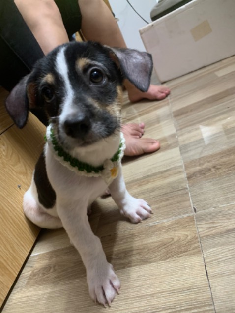 sách đẹp, đóng gói cẩn thận. Giao hàng rất nhanhhhhhhhhhhhhhhhhhhhhhhhhhhhhhhhhhhhhhhh