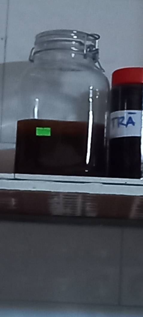 Cực kỳ êm, cực kỳ tốt. Rất nên mua nhé.nuôi Kombocha