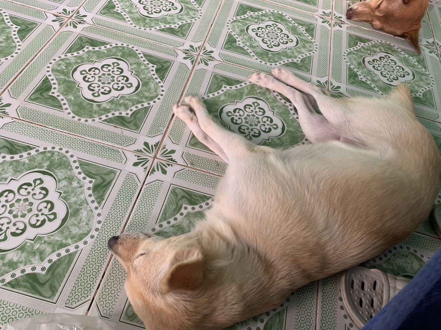 Giao hàng cực kì nhanh , Tiki phục vụ rất tốt . Mình rất hài lòng Tiki