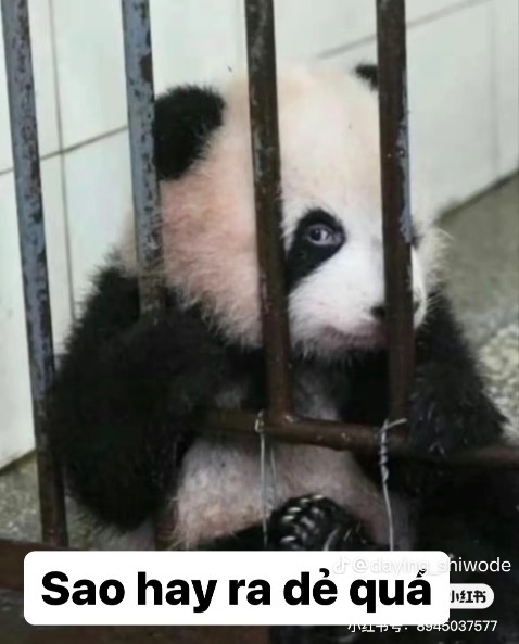 Sách hay, giấy êm tay lắm luôn