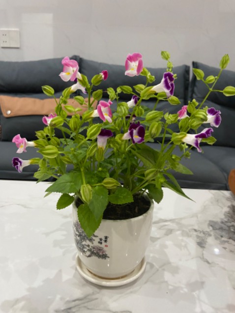 Có hiệu quả sau một thời gian sử dụng