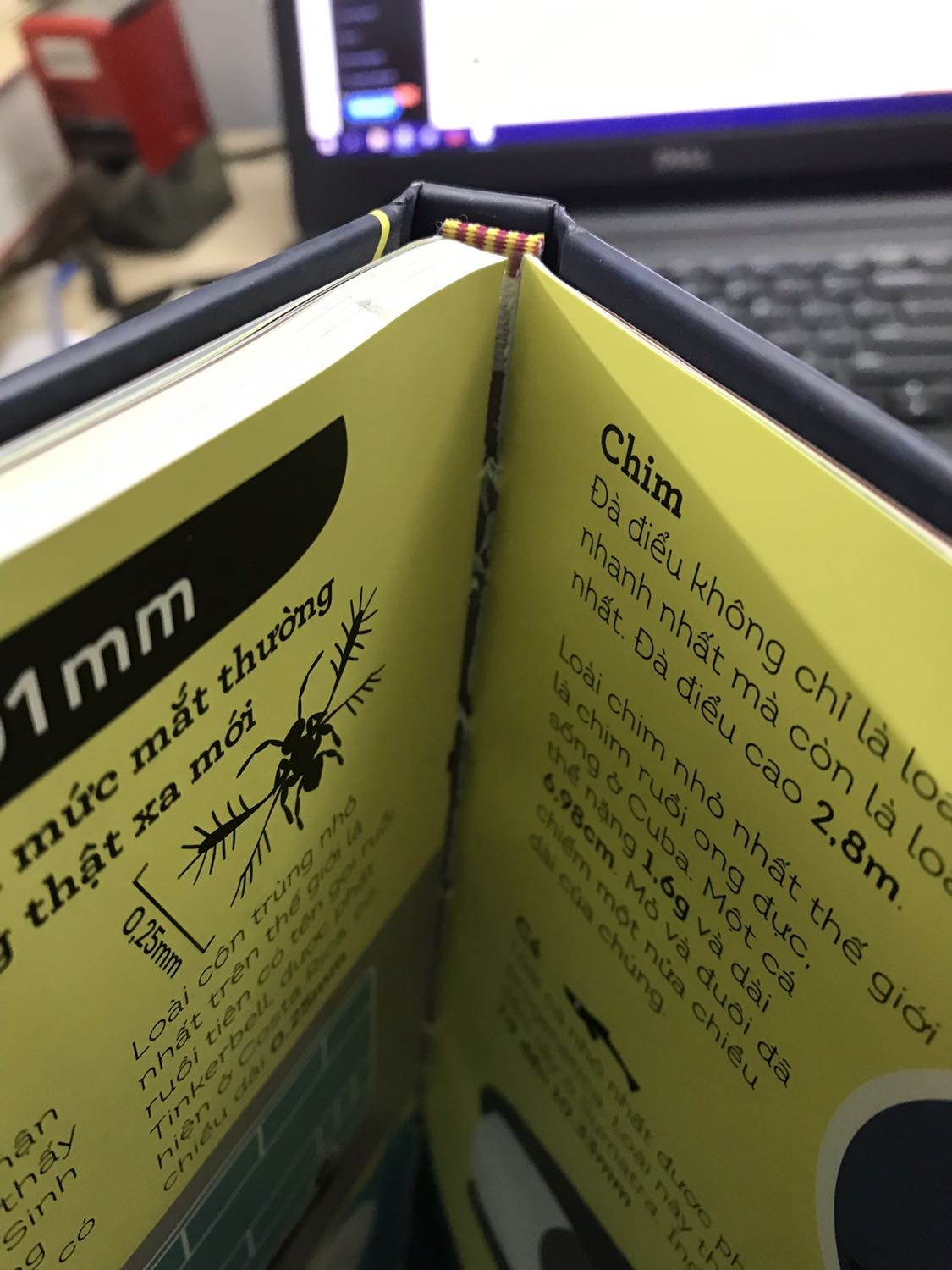 Sách lỗi. Đề nghị tiki đổi lại sách. 
Sách bị bong gáy và rời trang, góc cạnh bị sứt.