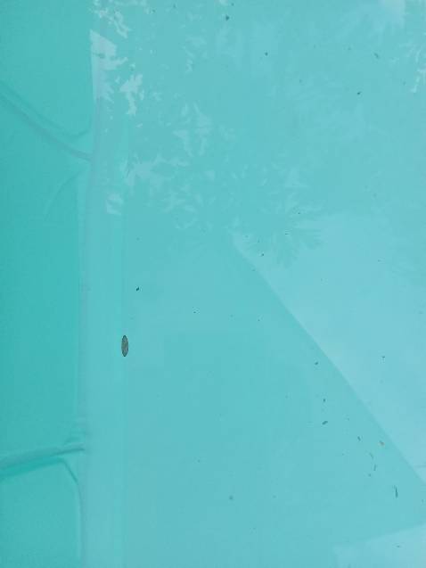 Hai tam chôdng 2 bêb yếu dễ gãy moi mua chua dc thang hu rui, kg bit sop xu ly sao