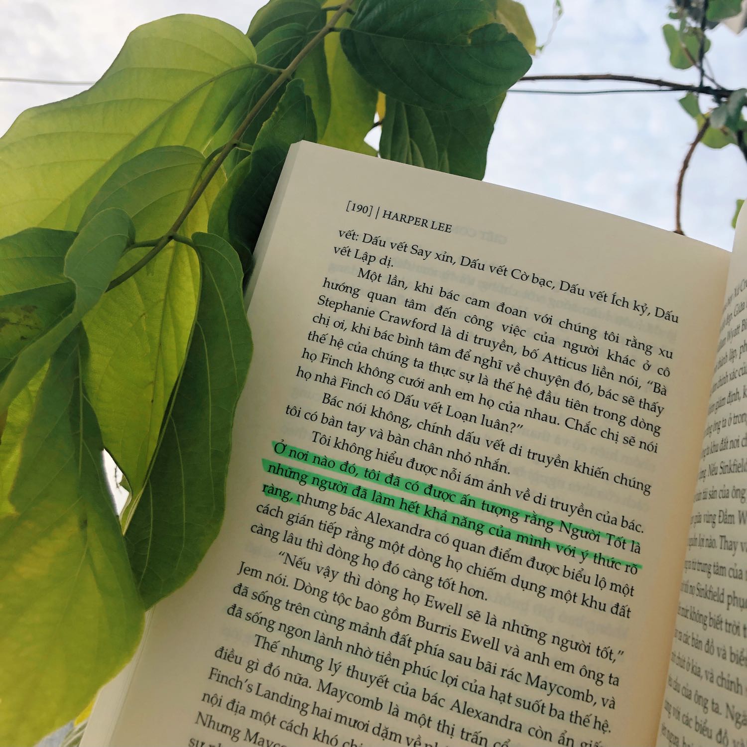 Mình đọc Giết con chim nhại với suy nghĩ đây là một tác phẩm kinh điển về nạn phân biệt chủng tộc cho người lớn. Đáp lại mình là một hành trình từ góc nhìn và suy nghĩ của Scout, những bài học mà cha Atticus muốn con mình khắc ghi. Giọng văn không hề mang tính vĩ mô, cường điệu dáng triết học mà rất đáng yêu, vui nhộn khi được Scout miêu tả. 
Tuyệt vời! Có những đoạn highlight hơn mà mình dành lại cho các bạn đọc trải nghiệm thay vì bị mình spoil ở đây.