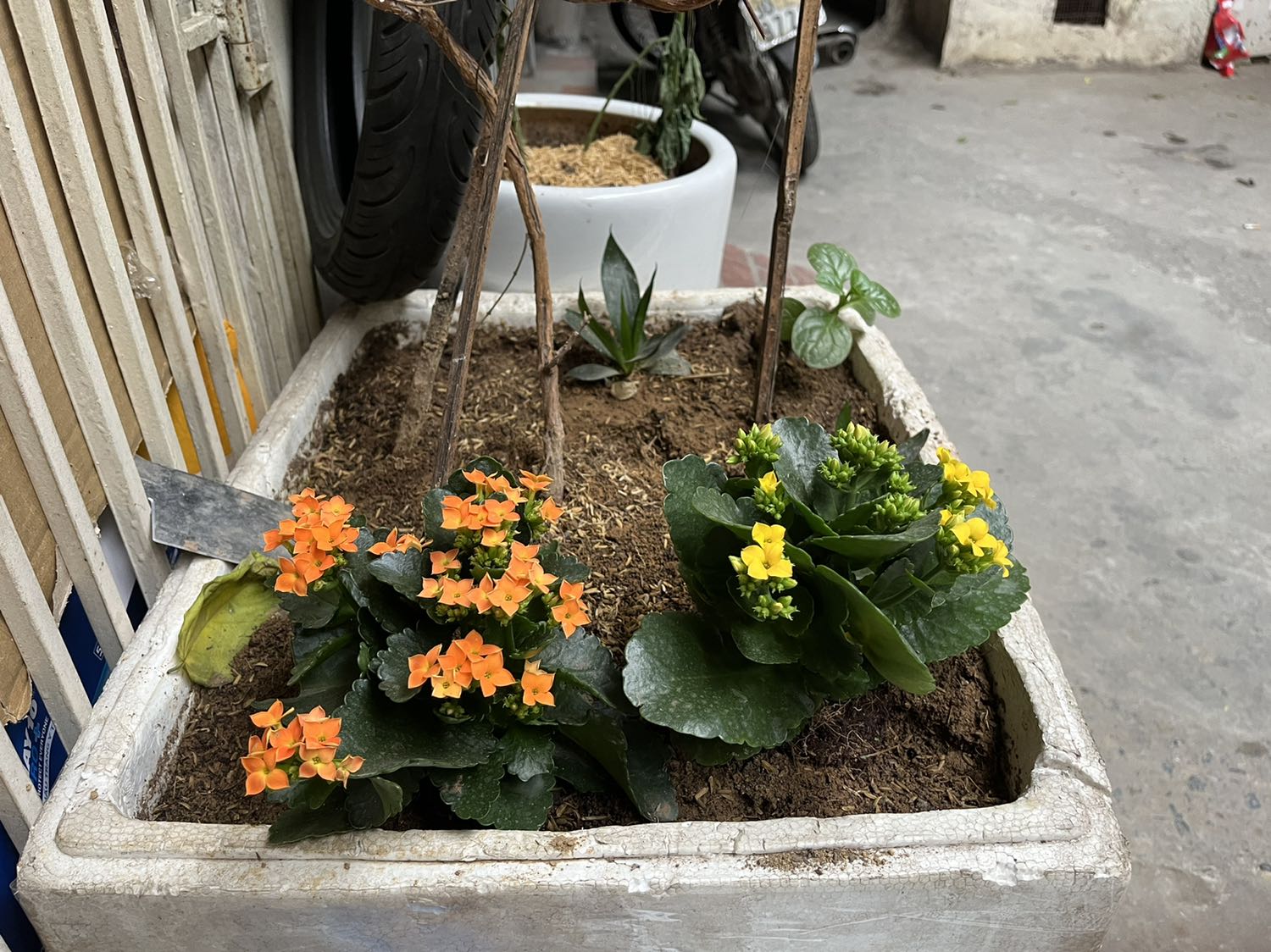 Giao hàng nhanh sử dụng tốt.