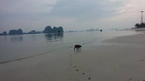 Hôm nay mình dành một buổi đọc hết một mạch cuốn sách. Không biết đã rơi nước mắt bn lần. Thực sự quá hay. Để lại trong mình rất nhiều suy tư và cảm xúc. Một cuốn sách để đọc đi đọc lại rất nhiều lần nữa.