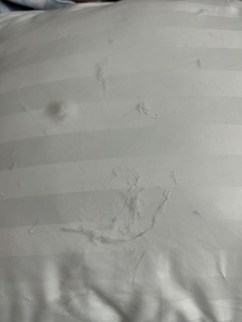 Mua lần thứ 3 rồi mà lần này sản phẩm ko như mong đợi, sau khi mở bao hút chân không ra thì bông gối dính đầy trên cả 2 gối mình mua, mất thời gian để vệ sinh. và gối cũng k dày dặn như những cái mình đã mua trước đó, rất ưng và vẫn còn đang sử dụng. Shop có thể tăng giá sp nhưng đừng giảm chất lượng.