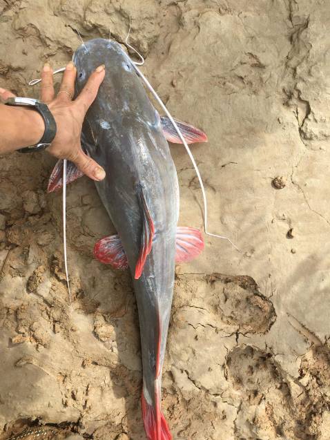 Chưa dùng nên kb bền hay k nhưng hàng nhận đc đúng hình , shipper thân thiện !!!