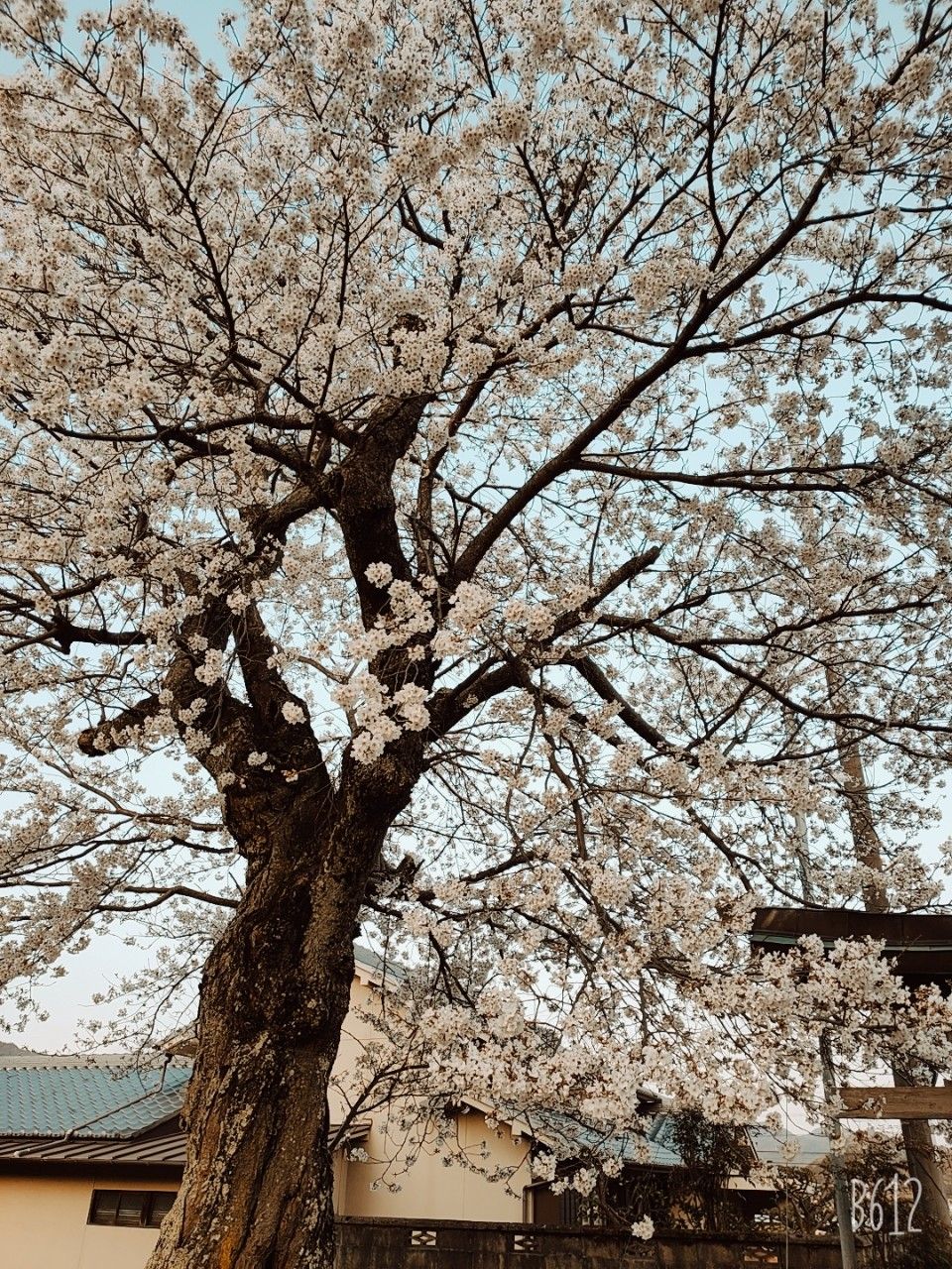 bếp đẹp dễ sử dụng.
hình ảnh mang tính chất nhận su bếp đẹp dễ sử dụng.
hình ảnh mang tính chất nhận su