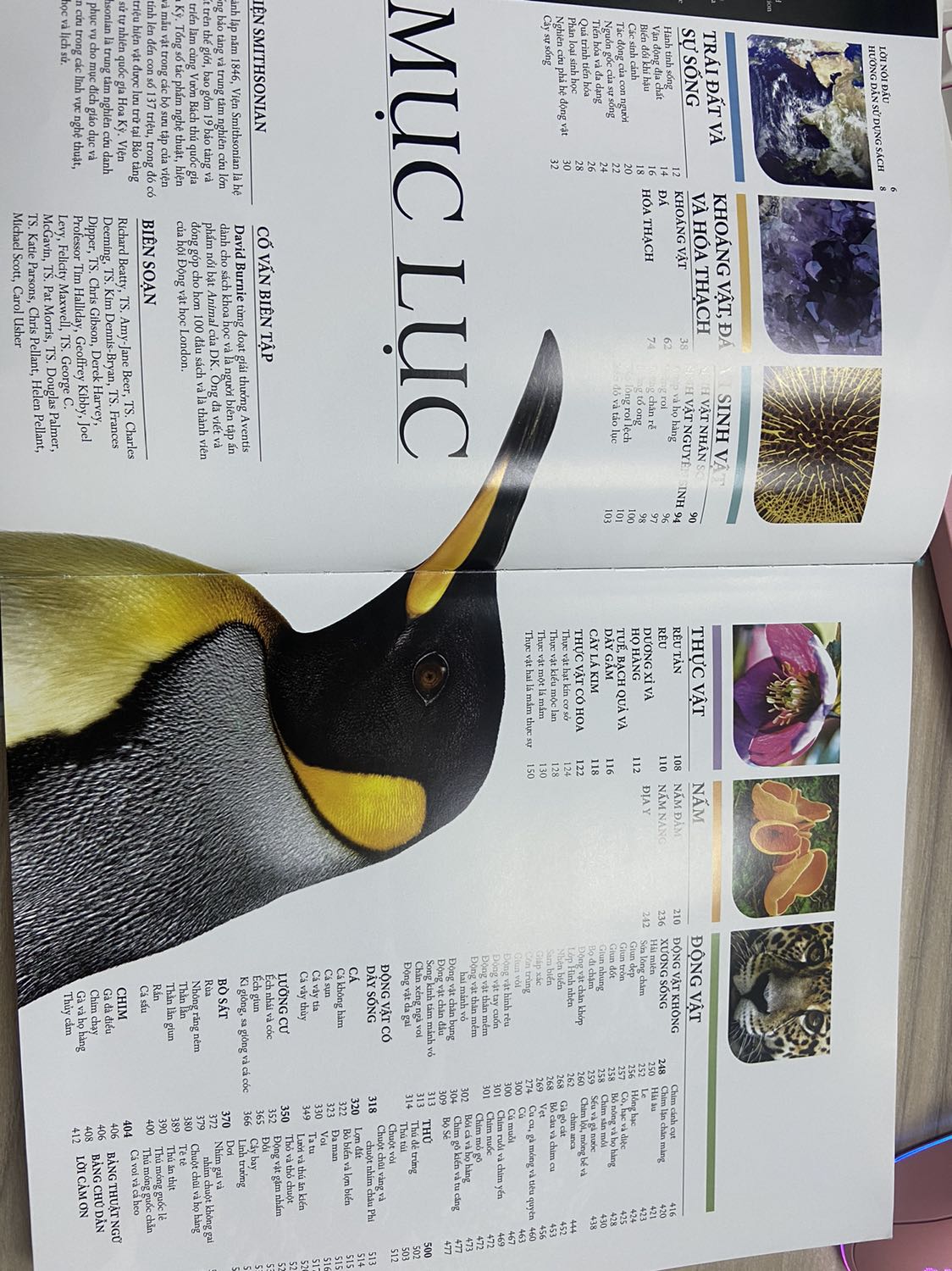 Cuốn bách khoa này thật sự hữu ích cho mọi lứa tuổi. Hình ảnh đẹp, sắc nét trực quan. Cung cấp rất nhiều kiến thức từ tự nhiên, thực vật, động vật những kiến thức nền tảng. Cuốn này ba mẹ có thể cùng xem với con vào mỗi buổi tối cuối tuần thì thật sự tuyệt vời. Vừa có thêm kiến thức cho cả phụ huynh lẫn trẻ nhỏ vừa có không gian để cha mẹ vui chơi bên con cái. Mình canh sale được giá cực kỳ tốt nên hốt liền. Thật sự rất hữu ích, chúc mọi người có thêm nhiều kiến thức và thư giản với những thông tin cùng hình ảnh thú vị