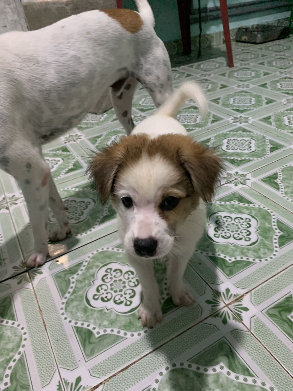 Cảm ơn tiki nhiều lắm . Tiki