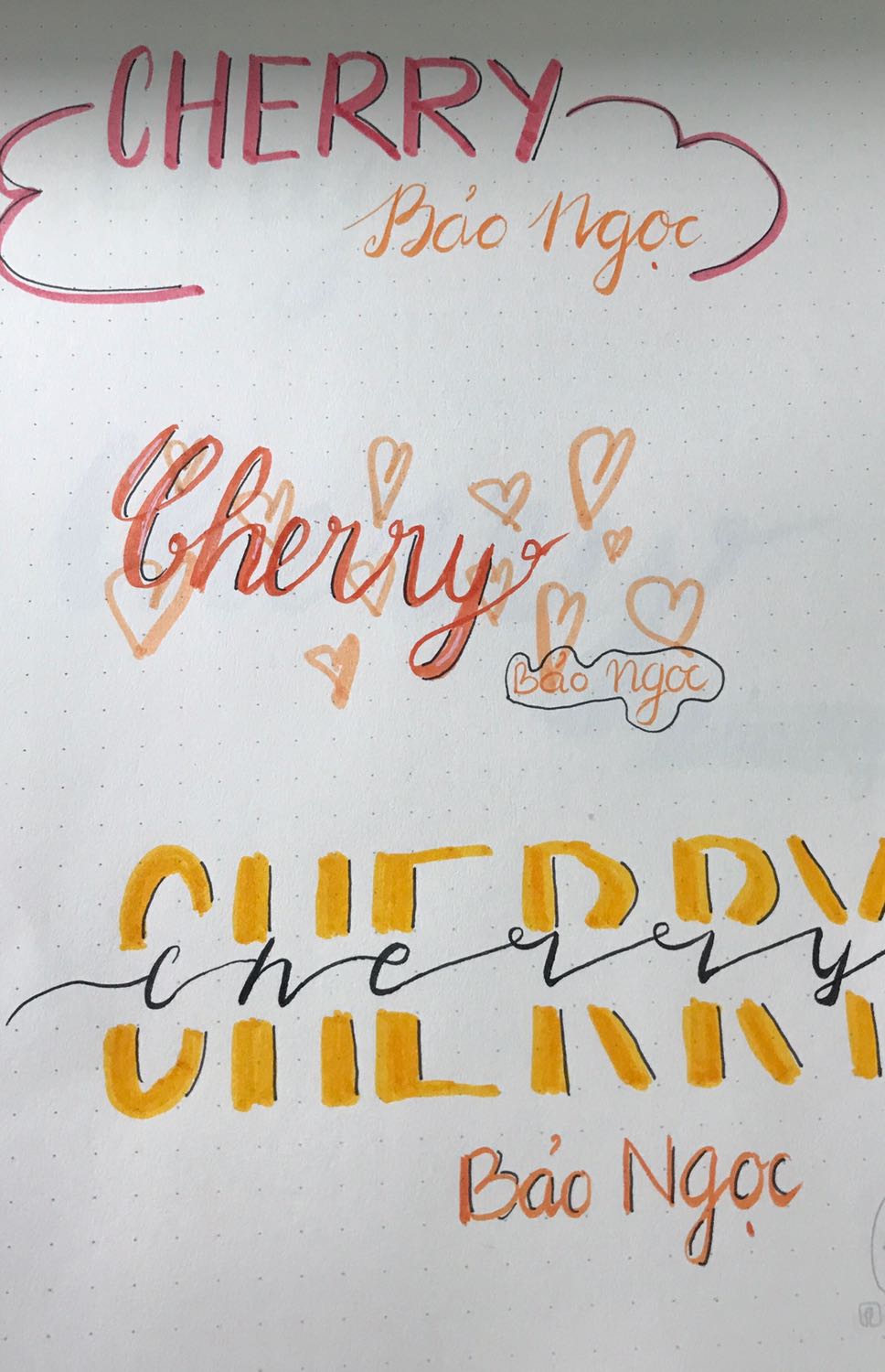 Mình mới tập viết nên thấy ngòi nhỏ, phù hợp với bạn nào mới tập viết chữ nhỏ nhé. Ngoi theo mình thấy hơi cứng nhưng tập quen nay thì sẽ biết cách dùng lực.