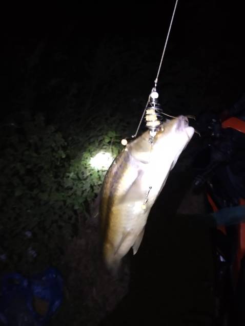 Hình ảnh chỉ mang tính chất minh họa tuyệt vời hgf